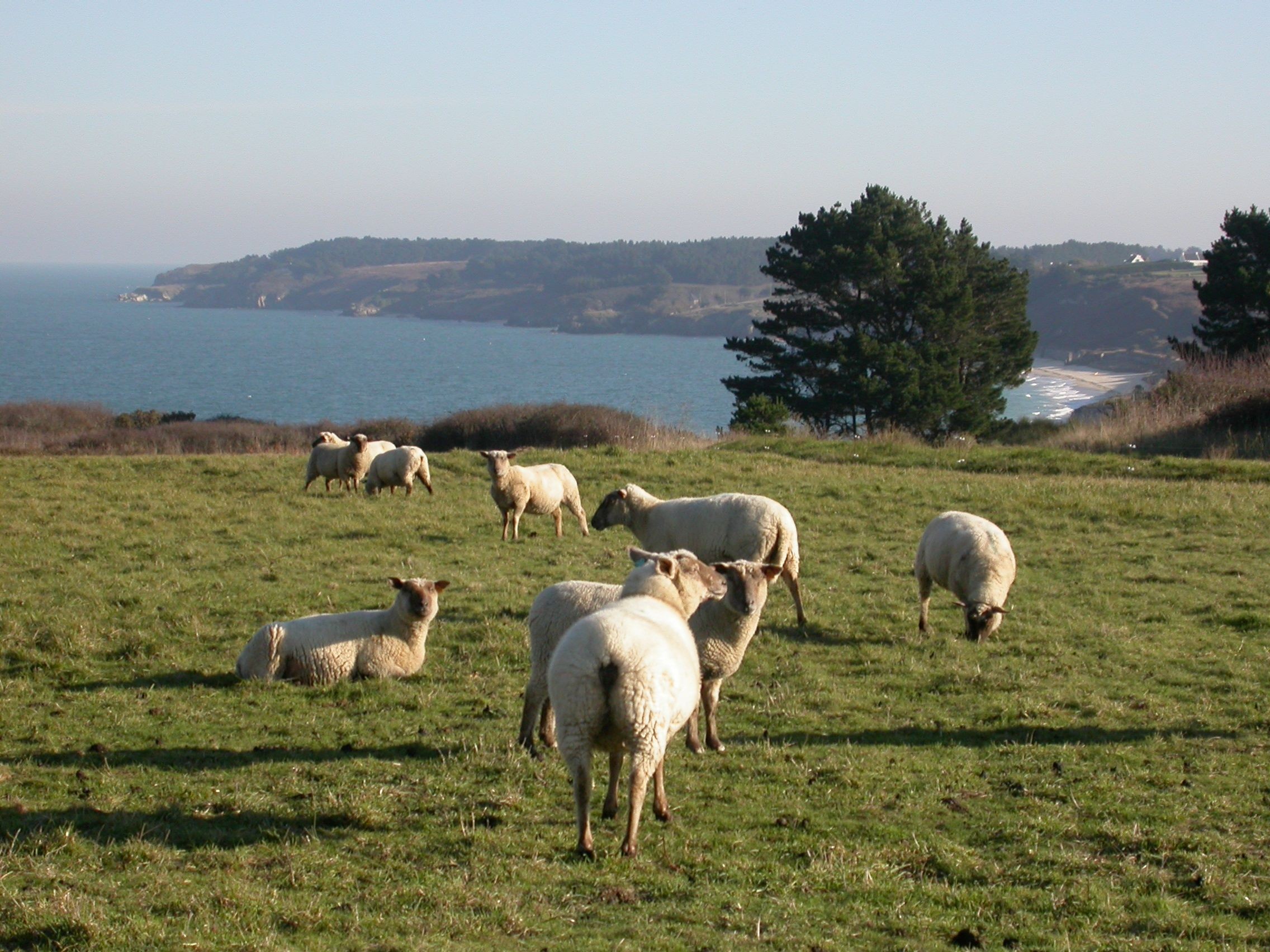 417/Photos/02_hotel_exterieurs/Grands_sables_CBathilde_Chaboche_Office_de_Tourisme_Belle_Ile_en_Mer.jpg
