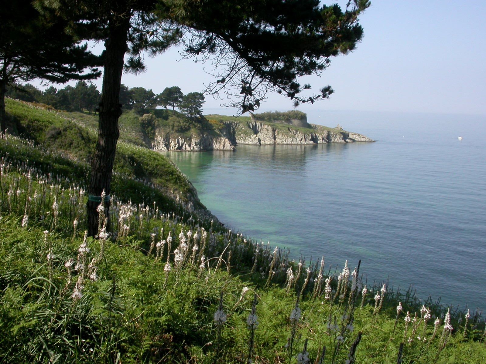417/Photos/02_hotel_exterieurs/Pointe_du_bugul_c_Bathilde_CHABOCHE_-_OFFICE_DE_TOURISME__BELLE_ILE_EN_MER.jpg